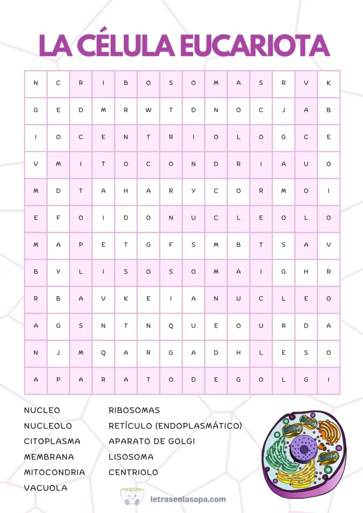 sopas de letras niños 10 a 12 años dificiles soluciones gratis